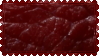 meat 4